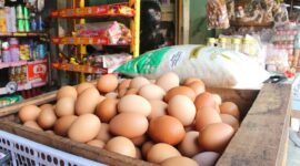 Harga Beras Alami Kenaikan di 75 Persen Daerah di Indonesia. (Pixabay.com/EmAji )