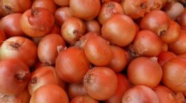 Bawang Bombai. (Pixabay.com/@LoggaWiggler)