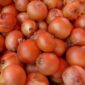 Bawang Bombai. (Pixabay.com/@LoggaWiggler)