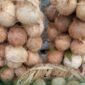 Kelapa Parut. (Dok. Kementerian Pertanian RI)