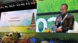 Staf Ahli Menteri Perdagangan Bidang Hubungan Internasional, Dandy Satria Iswara menjadi narasumber pada Indonesia International Rice Conference (IIRC) 2024 di Bali, Jumat, 20 September 2024. (Dok. kemendag.go.id)
