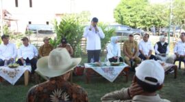 Wakil Menteri Pertanian Sudaryono, usai meninjau panen raya di Kabupaten Ogan Ilir, Sumatera Selatan, Senin (13/1/2025). (Dok. Kementerian Pertanian)