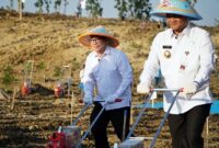 Program pemanfaatan lahan perhutanan sosial penting untuk memperkuat ketahanan pangan. (Dok. Dok. Bapanas
)